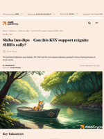 Shiba Inu dips - Can this KEY support reignite SHIB's rally? - AMBCrypto