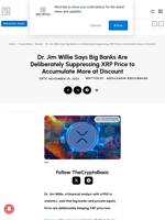 Dr. Jim Willie Says Big Banks Are Deliberately Suppressing XRP Price to Accumulate More at Discount