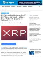 XRP Army Builds Hope On $5 XRP Price as Small Holders Lead Network Expansion ⋆ ZyCrypto