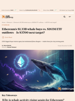 Ethereum's $1.33B whale buys vs. $183M ETF outflows – Is $3700 next target? - AMBCrypto