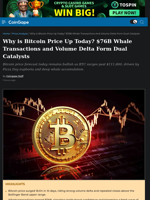 Why is Bitcoin Price Up Today? $76B Whale Transactions and Volume Delta Form Dual Catalysts