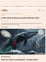 Is this whale betting on another Bitcoin crash? - AMBCrypto