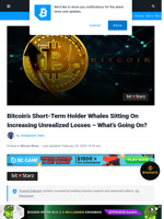 Bitcoin’s Short-Term Holder Whales Sitting On Increasing Unrealized Losses - What’s Going On? | Bitcoinist.com