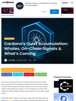 Cardano’s Quiet Accumulation: Whales, On-Chain Signals & What’s Coming | Live Bitcoin News