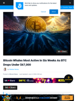 Bitcoin Whales Most Active In 6 Weeks As BTC Drops To $67K