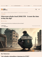 Ethereum whales load 210K ETH - Is now the time to buy the dip? - AMBCrypto