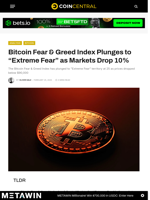 Bitcoin Fear & Greed Index Plunges to 