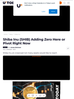 Shiba Inu (SHIB) Adding Zero Here or Pivot Right Now - U.Today