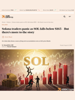 Solana traders panic as SOL falls below $165 - But there's more to the story - AMBCrypto
