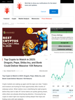 Top Crypto to Watch in 2025: Dragoin, Pepe, Shiba Inu, and Bonk Could Deliver Massive 10X Returns - NullTX