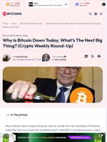 Why Is Bitcoin Down Today, What's The Next Big Thing in Crypto?