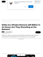 Shiba Inu Whales Remove 229 Billion in 24 Hours: Are They Shoveling at the Bottom? - U.Today