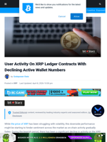 User Activity On XRP Ledger Contracts With Declining Active Wallet Numbers | Bitcoinist.com