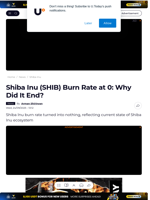 Shiba Inu (SHIB) Burn Rate at 0: Why Did It End? - U.Today