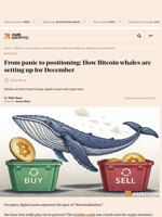 From panic to positioning: How Bitcoin whales are setting up for December - AMBCrypto