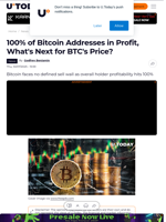 100% of Bitcoin Addresses in Profit, What's Next for BTC's Price?
