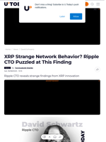 XRP Strange Network Behavior? Ripple CTO Puzzled at This Finding - U.Today