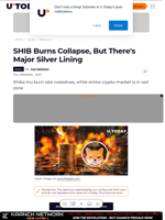 SHIB Burns Collapse, But There's Major Silver Lining