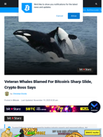 Veteran Whales Blamed For Bitcoin’s Sharp Slide, Crypto Boss Says | Bitcoinist.com