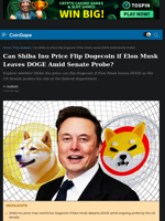 Can Shiba Inu Price Flip Dogecoin if Elon Musk Leaves DOGE Amid Senate Probe?
