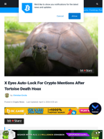 X Eyes Auto-Lock For Crypto Mentions After Tortoise Death Hoax | Bitcoinist.com