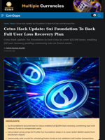 Cetus Hack Update: Sui Foundation To Back Full User Loss Recovery Plan