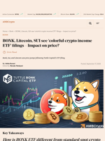 BONK, Litecoin, SUI see 'colorful crypto income ETF' filings - Impact on price? - AMBCrypto