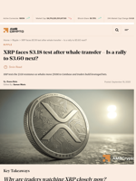 XRP faces $3.18 test after whale transfer - Is a rally to $3.60 next? - AMBCrypto