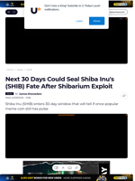 Next 30 Days Could Seal Shiba Inu's (SHIB) Fate After Shibarium Exploit - U.Today