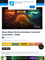 Bitcoin Whales Flip From Distribution To Early Re-Accumulation – Details | Bitcoinist.com