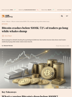 Bitcoin crashes below $101K: 72% of traders go long while whales dump - AMBCrypto
