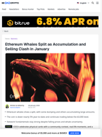 What Are Ethereum Whales Doing as ETH Remains Below $3,000?