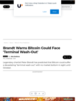 Brandt Warns Bitcoin Could Face 'Terminal Wash-Out' - U.Today