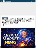 Next Pepe Coin Search Intensifies as Fear Index Hits 12 and Whale Wallets Buy Fast - TechBullion