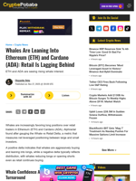 Whales Are Leaning Into Ethereum (ETH) and Cardano (ADA): Retail Is Lagging Behind