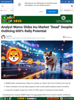 Analyst Warns Shiba Inu Market 