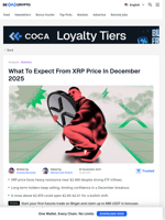 XRP Price Looks Extremely Bullish For December – Here’s Why