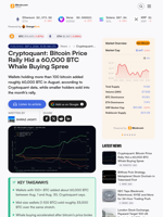 Cryptoquant: Bitcoin Price Rally Hid a 60,000 BTC Whale Buying Spree