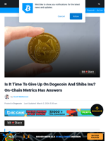 Is It Time To Give Up On Dogecoin And Shiba Inu? On-Chain Metrics Has Answers | Bitcoinist.com