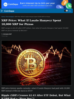 XRP Price: What If Laszlo Hanyecz Spent 10,000 XRP for Pizzas