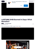 4,057,686 SHIB Burned in Days: What Remains? - U.Today
