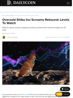 Oversold Shiba Inu Screams Rebound: Levels To Watch - DailyCoin
