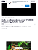 Shiba Inu Erases Zero Amid 10% SHIB Price Jump, What's Next? - U.Today