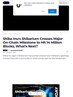 Shiba Inu's Shibarium Crosses Major On-Chain Milestone to Hit 14 Million Blocks, What's Next? - U.Today