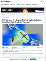 How XRP Whales Are Trading After The Crypto Market Crash