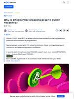 Bitcoin Whales Return as BTC Price Struggles