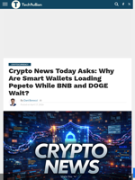 Crypto News Today Asks: Why Are Smart Wallets Loading Pepeto While BNB and DOGE Wait? - TechBullion