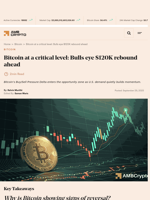 Bitcoin at a critical level: Bulls eye $120K rebound ahead - AMBCrypto