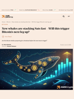 New whales are stacking Sats fast - Will this trigger Bitcoin’s next leg up? - AMBCrypto