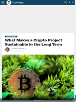 What Makes a Crypto Project Sustainable in the Long Term - TechBullion